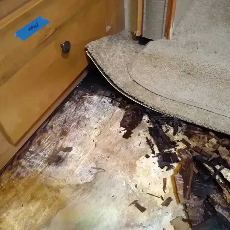 Wood Floor Water Damage in Maryland City, MD